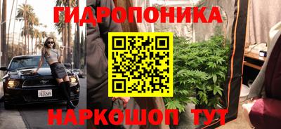 индика Мариинск