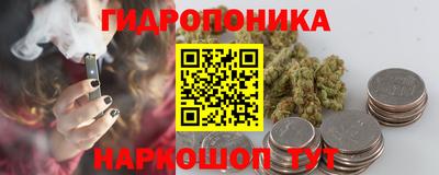 индика Мариинск