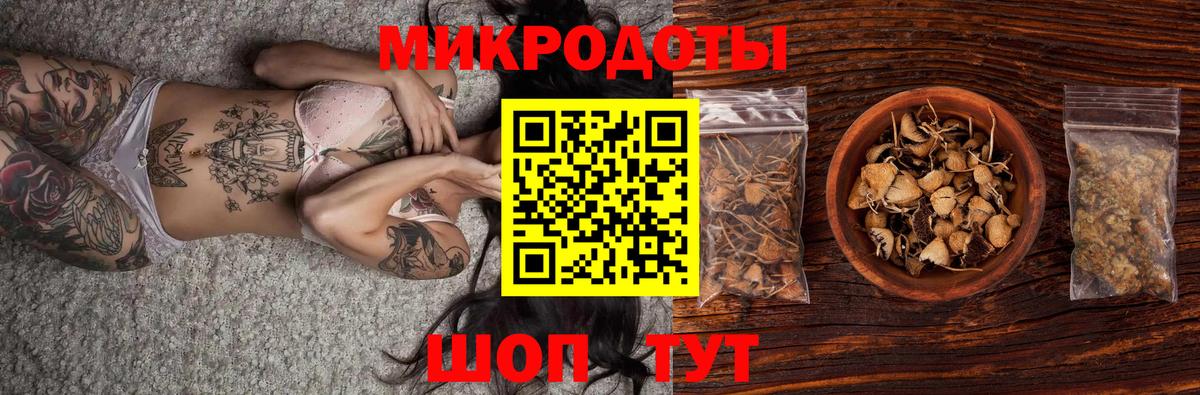 Псилоцибиновые грибы прущие грибы Среднеуральск