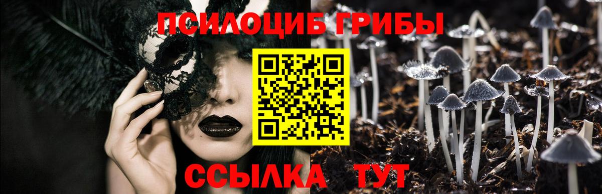Галлюциногенные грибы прущие грибы  Вход с VPN  Среднеуральск 